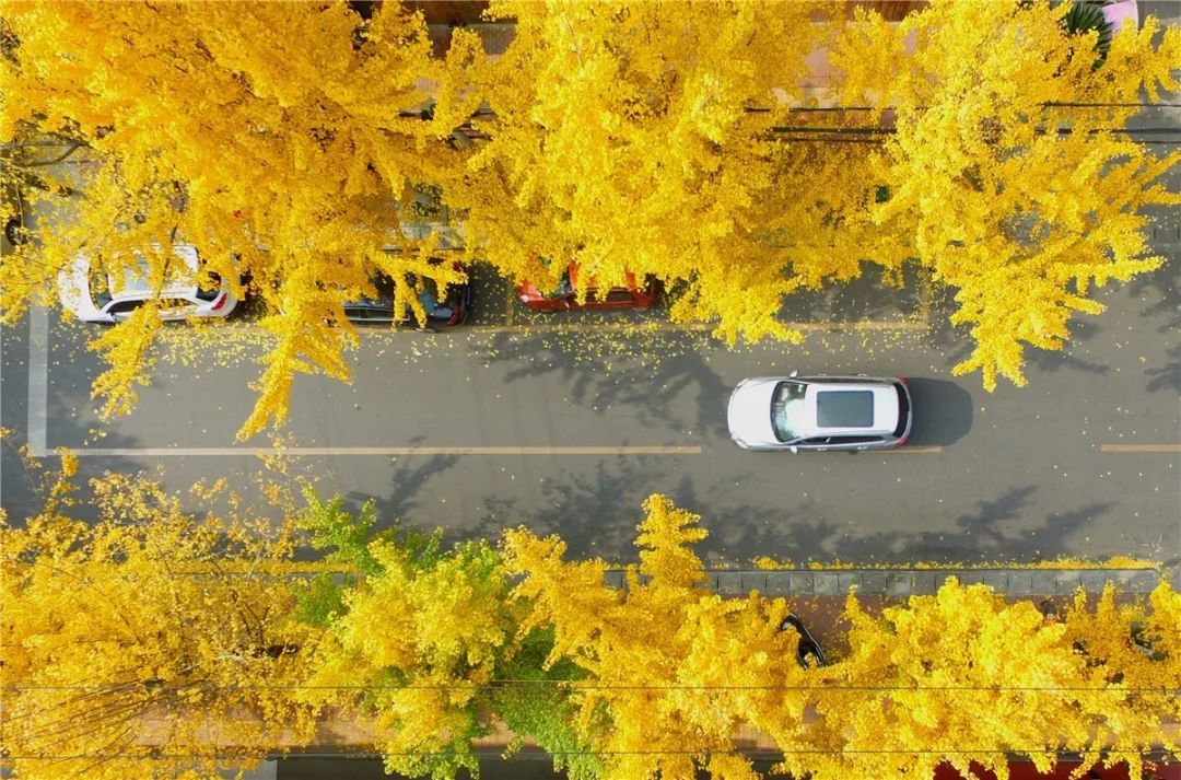 鑸媿褰窞鍏ㄦ櫙瑙嗛,鍑犱綍鑸媿