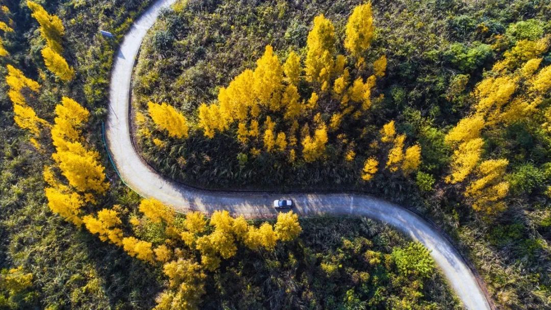 鑸媿褰窞鍏ㄦ櫙瑙嗛,鍑犱綍鑸媿
