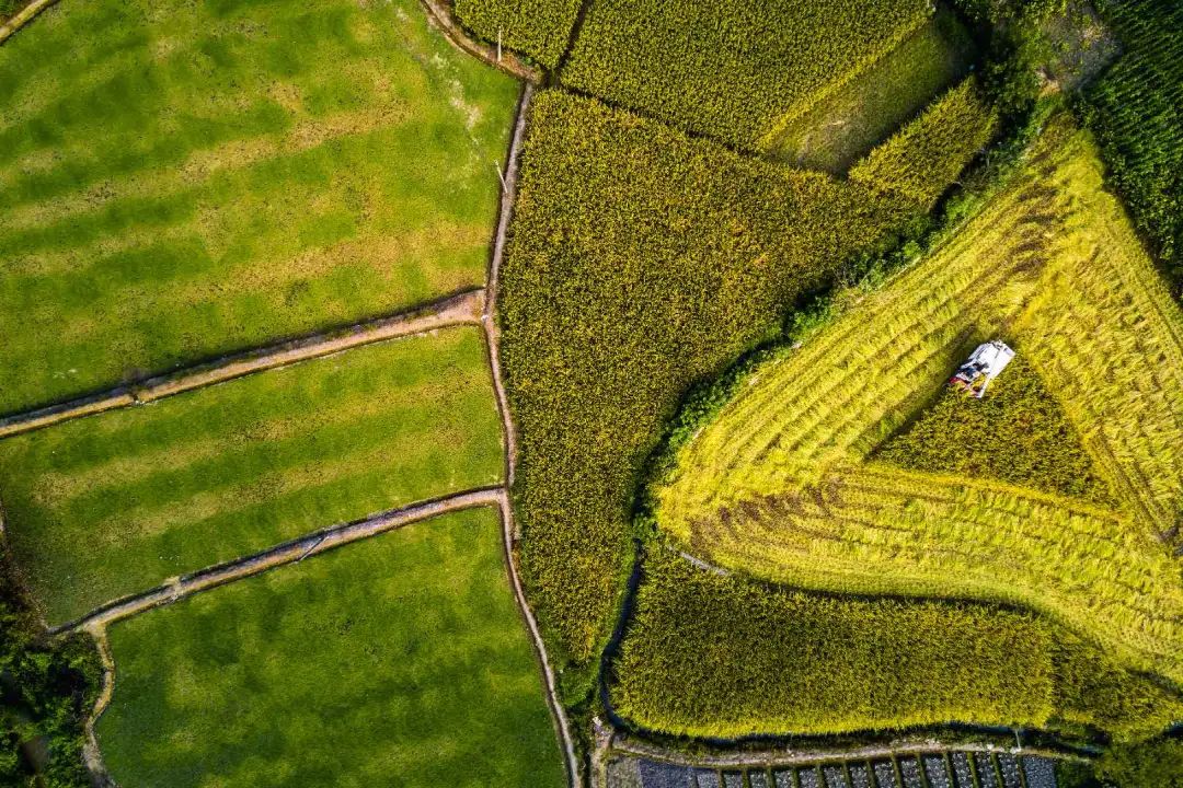 鑸媿褰窞鍏ㄦ櫙瑙嗛,鍑犱綍鑸媿