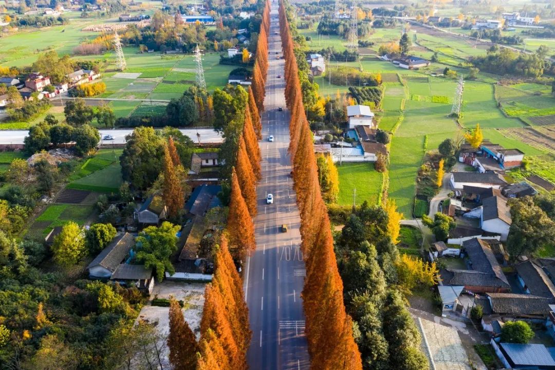 鑸媿褰窞鍏ㄦ櫙瑙嗛,鍑犱綍鑸媿