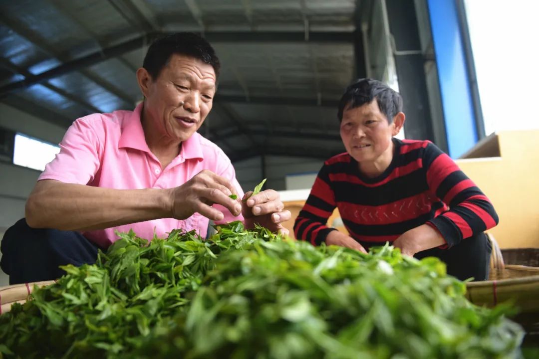 黑河大变样图片,黑河村简介