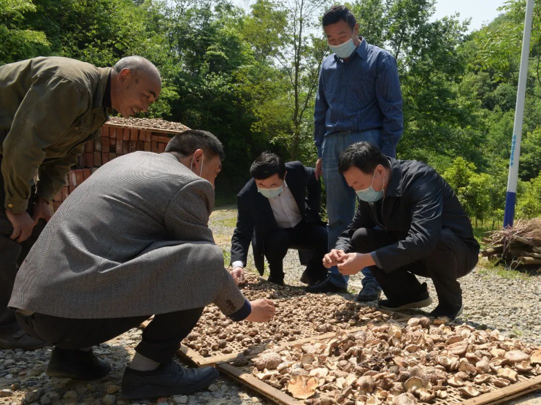 黑河大变样图片,黑河村简介