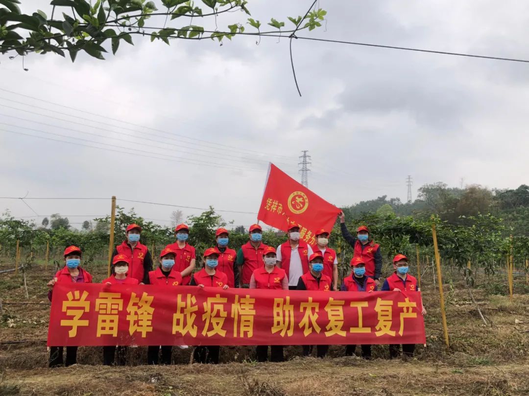 凭祥市获得的荣誉,崇左市表彰先进集体和个人