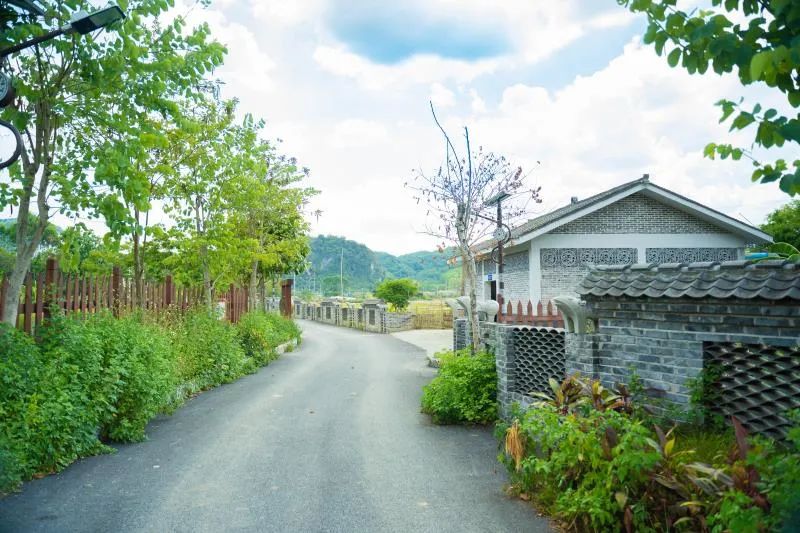 凭祥市获得的荣誉,崇左市表彰先进集体和个人