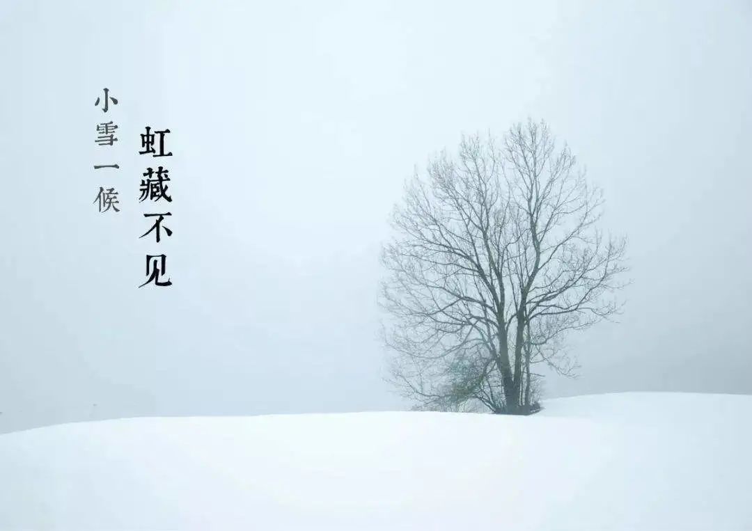 今日小雪愿冬暖,今日小雪愿冬日安康