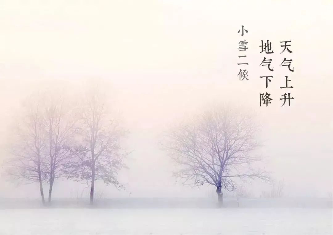 今日小雪愿冬暖,今日小雪愿冬日安康