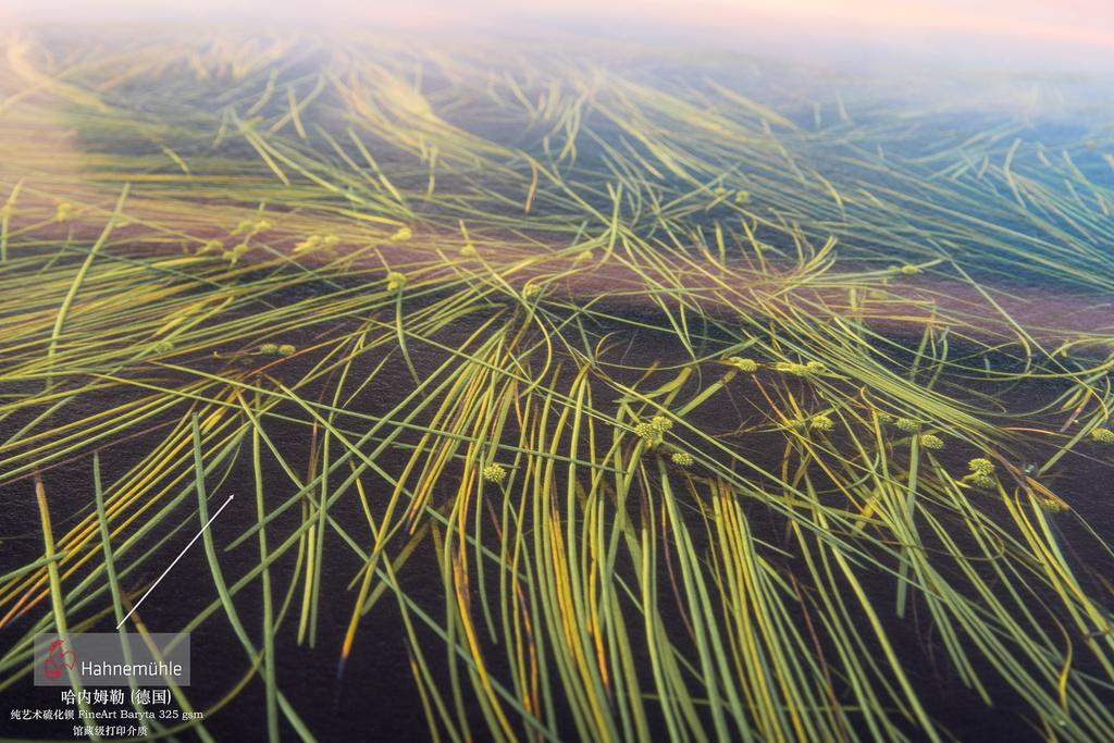 如何做数码装裱视频教学,怎么简单把打印的图片装裱