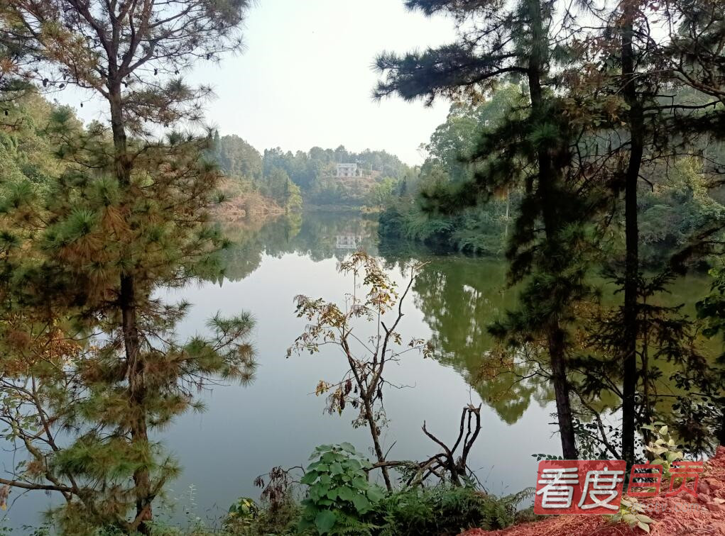 自贡东部新城足球场,自贡乡镇足球场