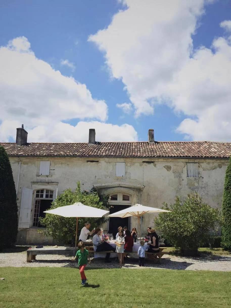 养十几只狗狗博主,网红养小土狗日常