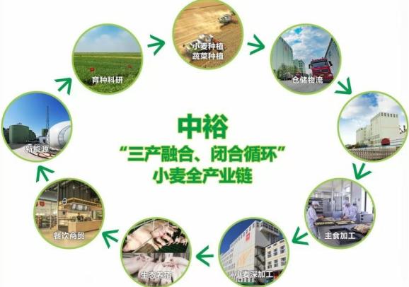 银企共赢乡村振兴,乡村振兴三产融合的齐鲁样板