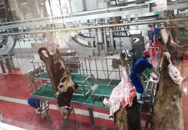 银企共赢乡村振兴,乡村振兴三产融合的齐鲁样板