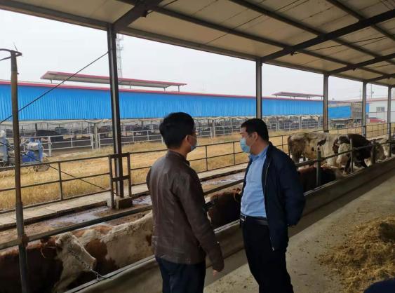 银企共赢乡村振兴,乡村振兴三产融合的齐鲁样板