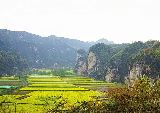 织金原始村寨,织金营上古寨离织金县城有多远