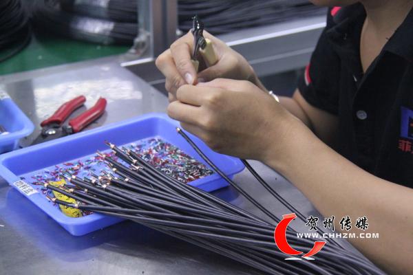 贺州东融产业园最新项目,广西钟山东融产业园