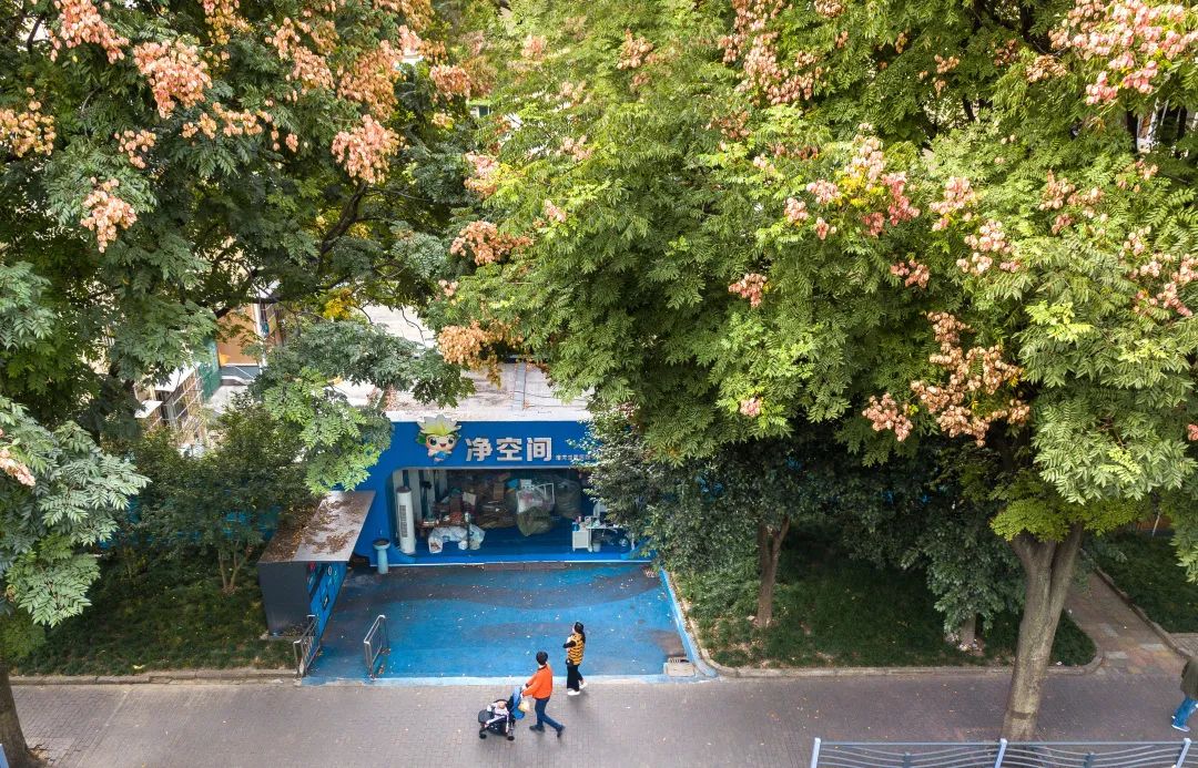 寮樻壃閬撳痉椋庡皻鍊″鍨冨溇鍒嗙被,涓婃捣琛楅亾鐢熸椿鏃ヨ