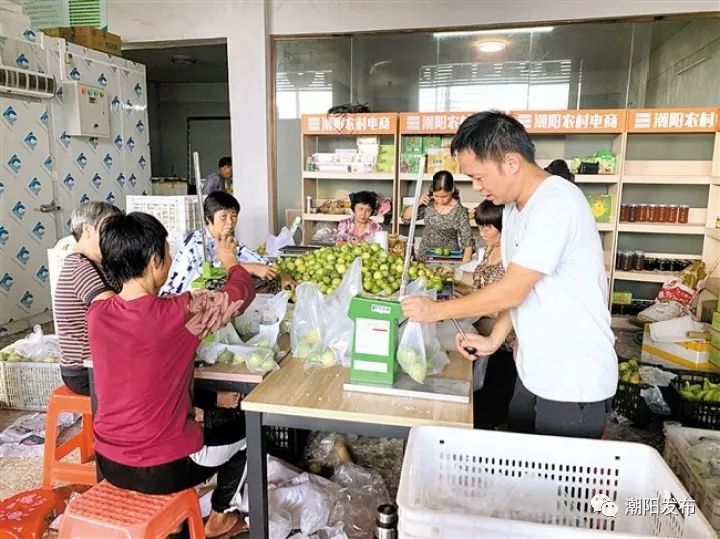 助力脱贫攻坚我为乡村振兴做贡献,职业农民脱贫攻坚