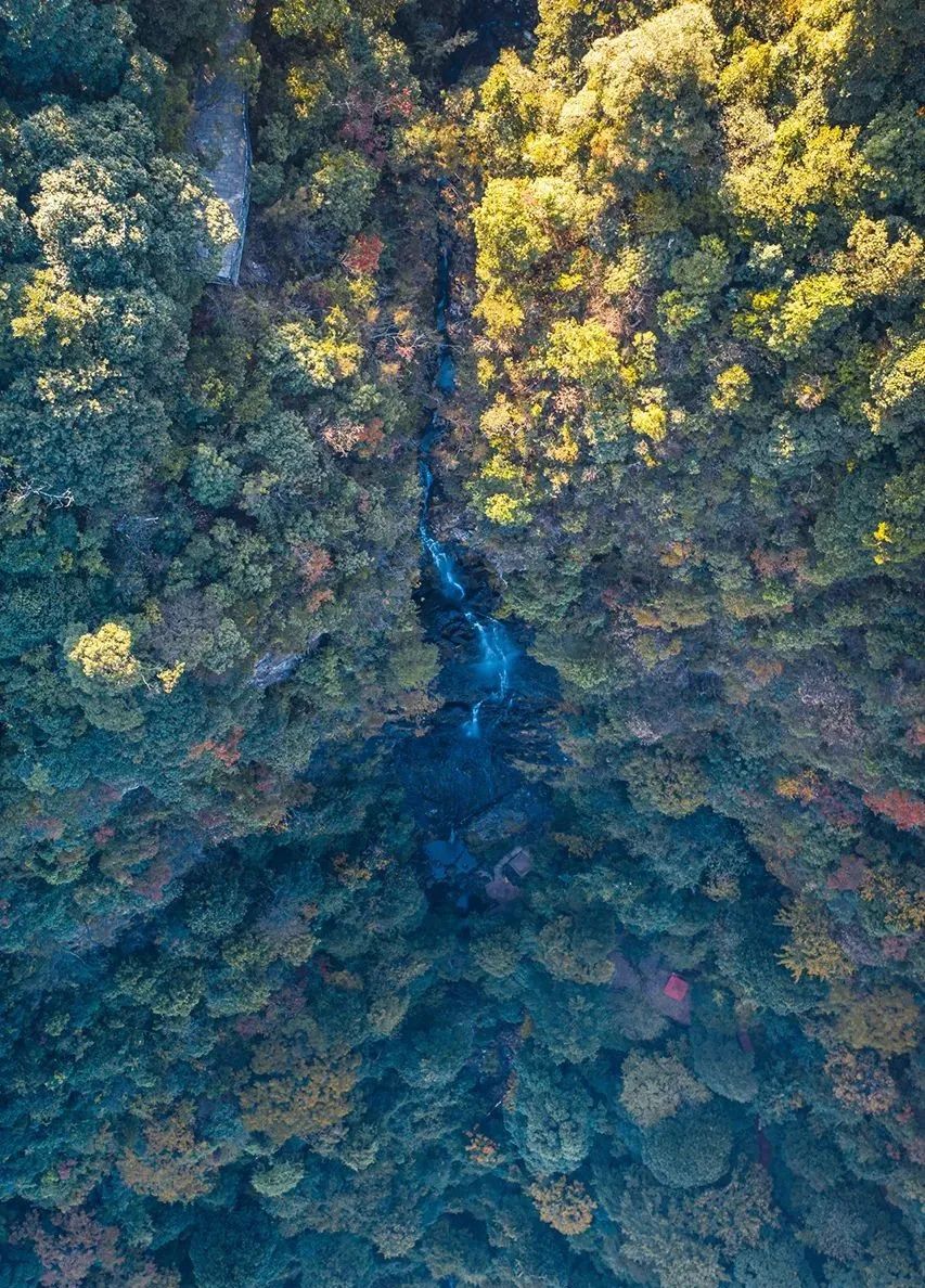 泡温泉仪式感,江西温泉镇泡温泉攻略