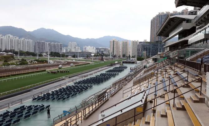 著名练马师岳伯仁遣五驹出赛，香港国际赛参赛马名单出炉