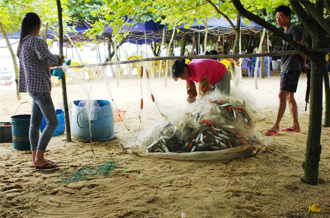 广西钦州三娘湾风景高清图片,广西钦州三娘湾旖旎好风光