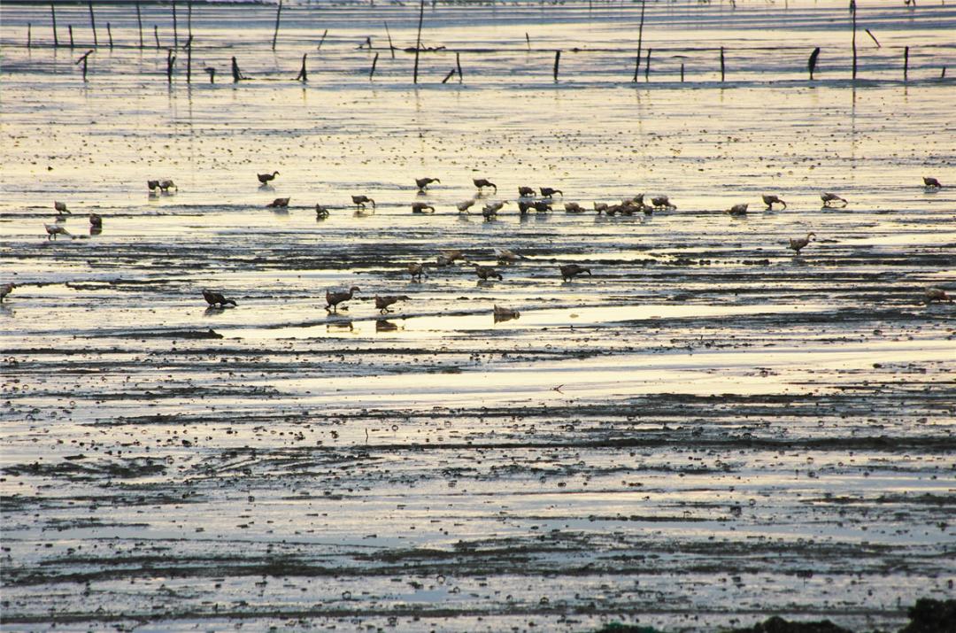广西钦州三娘湾风景高清图片,广西钦州三娘湾旖旎好风光