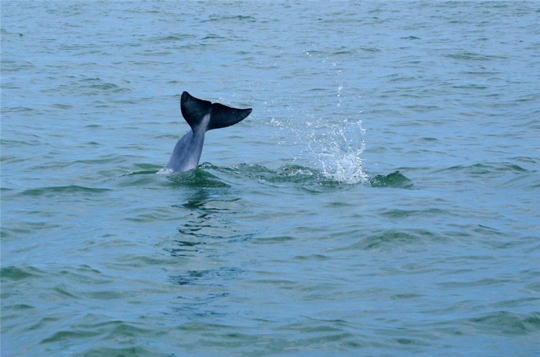 广西钦州三娘湾风景高清图片,广西钦州三娘湾旖旎好风光