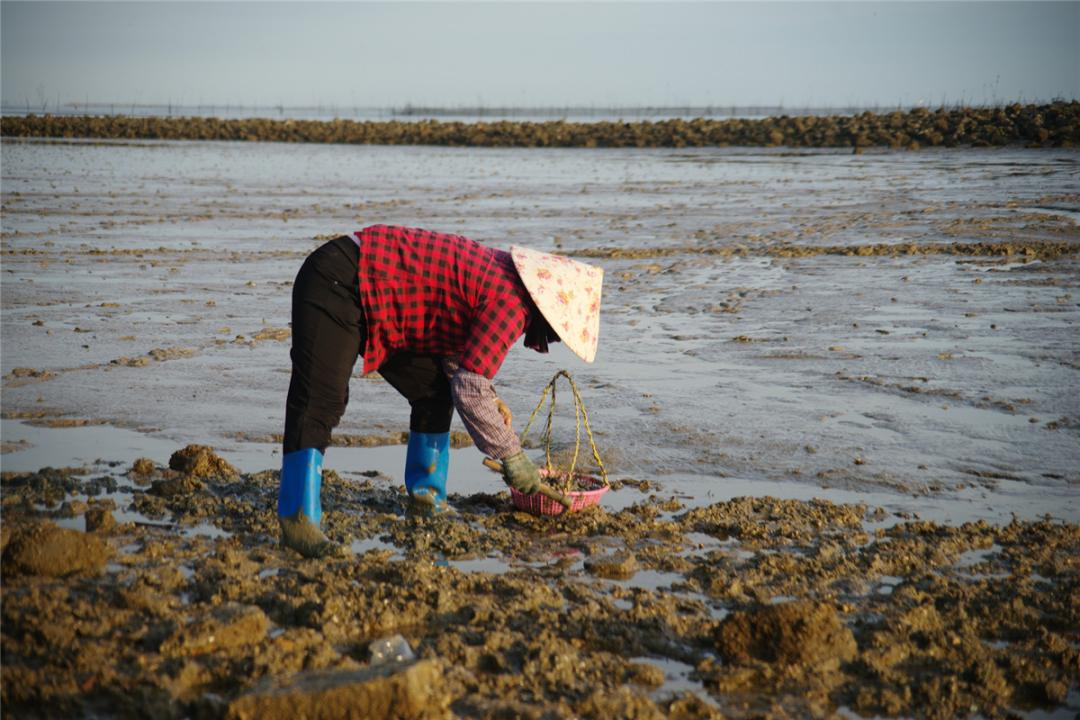 广西钦州三娘湾风景高清图片,广西钦州三娘湾旖旎好风光