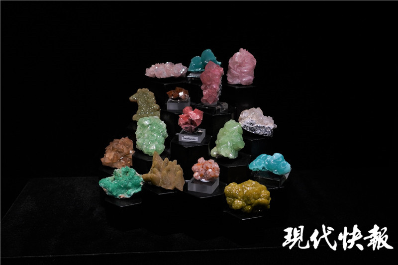 金枝玉叶文创产品南博,南博玉展