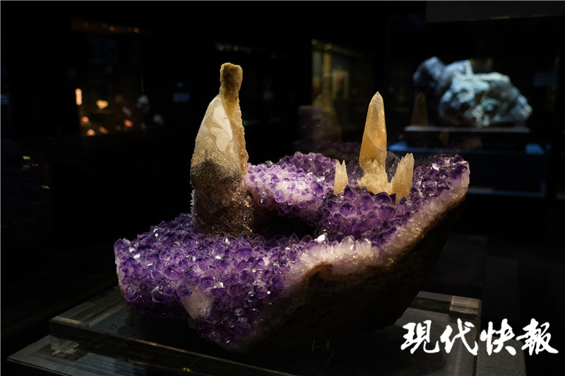 金枝玉叶文创产品南博,南博玉展