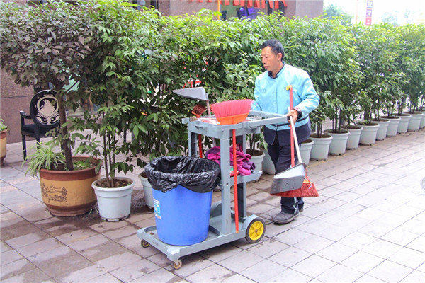 雅安市社会治安综合治理中心,雅安画卷