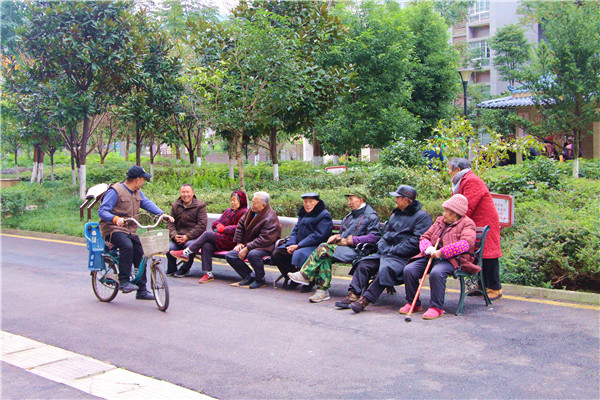 雅安市社会治安综合治理中心,雅安画卷