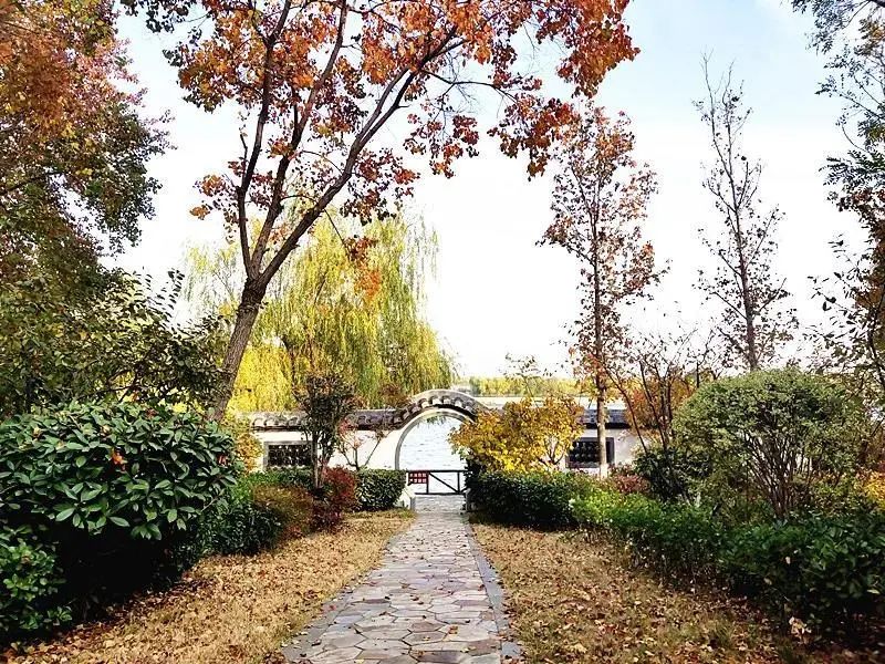 美如桃源！藏在*安泰**里的“神仙美宿”，带你睡进诗画里……