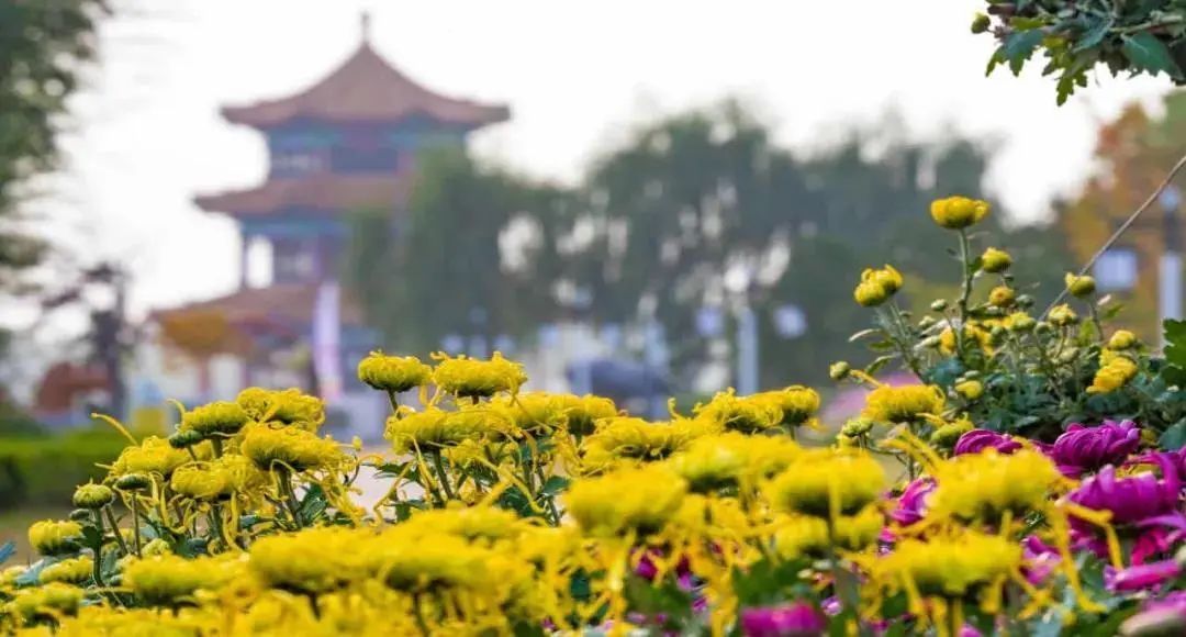 美如桃源！藏在*安泰**里的“神仙美宿”，带你睡进诗画里……