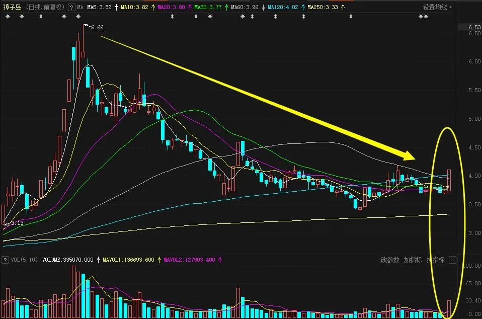 什么鬼,扇贝又回来了,还带着老婆孩子?华夏基金大佬2.5亿“押注”,这只股天量回调能“上车”吗?