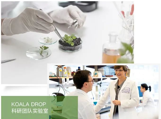 口臭的解决方法胃不好,口臭可能是你的胃出了问题