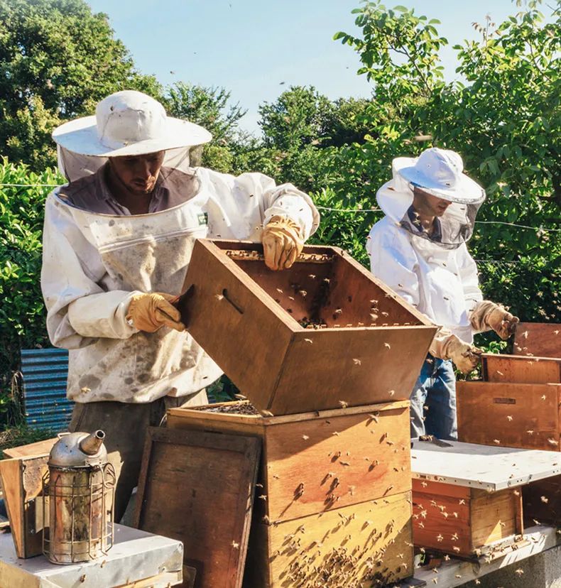 口臭的解决方法胃不好,口臭可能是你的胃出了问题