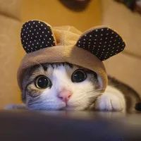 感谢你做我平凡岁月里耀眼的星辰,感谢你做我平淡岁月里的耀眼星辰