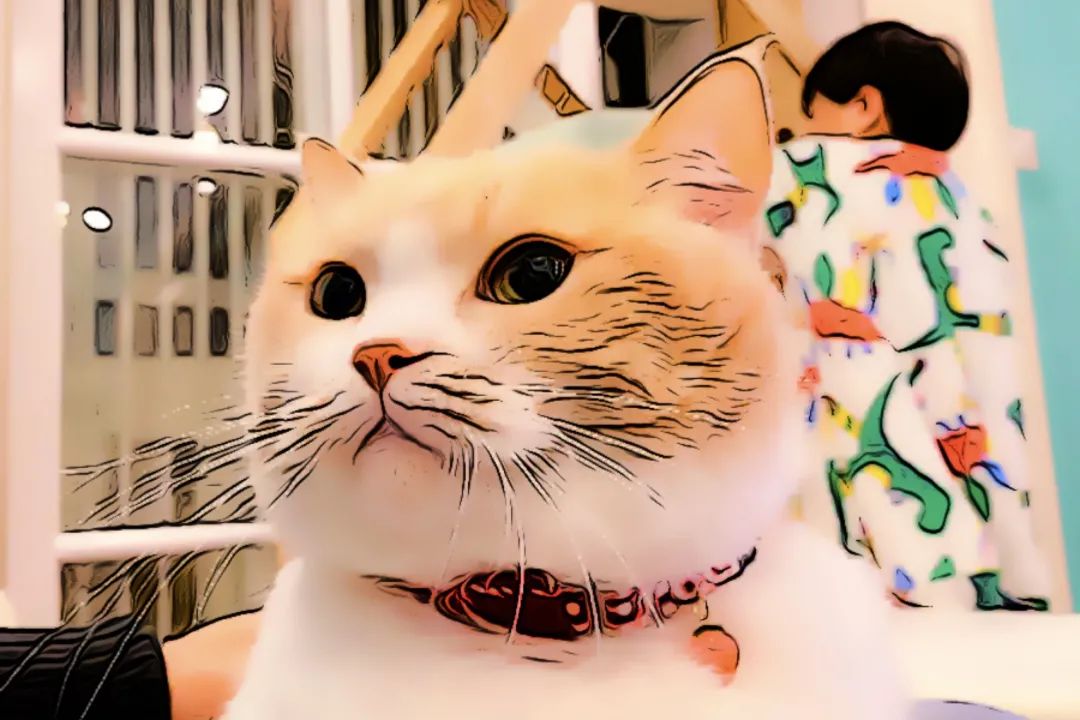 感谢你做我平凡岁月里耀眼的星辰,感谢你做我平淡岁月里的耀眼星辰