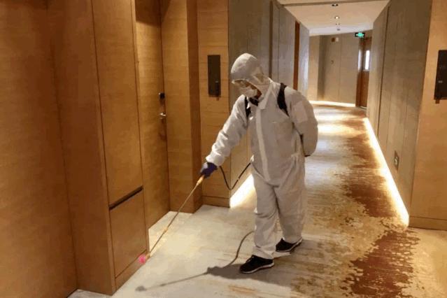 感谢你做我平凡岁月里耀眼的星辰,感谢你做我平淡岁月里的耀眼星辰