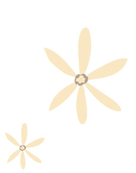 感谢你做我平凡岁月里耀眼的星辰,感谢你做我平淡岁月里的耀眼星辰