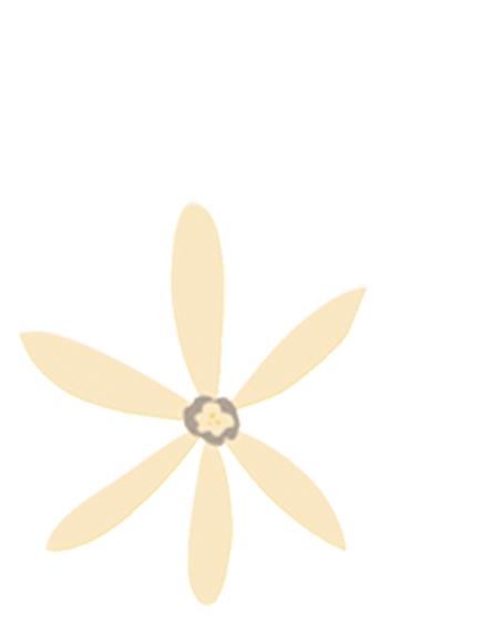 感谢你做我平凡岁月里耀眼的星辰,感谢你做我平淡岁月里的耀眼星辰