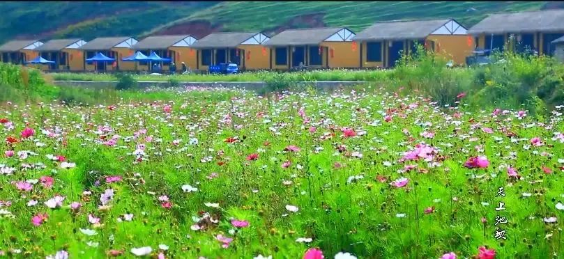 云巅金马池，诗意的远方