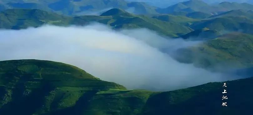 云巅金马池，诗意的远方