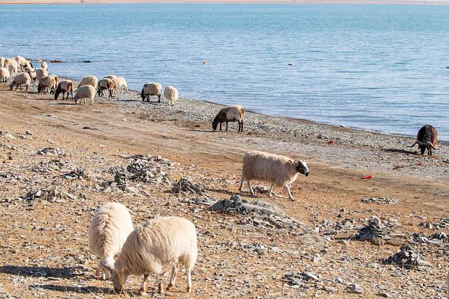 青海玉树旅游攻略,青海南大门三江源头