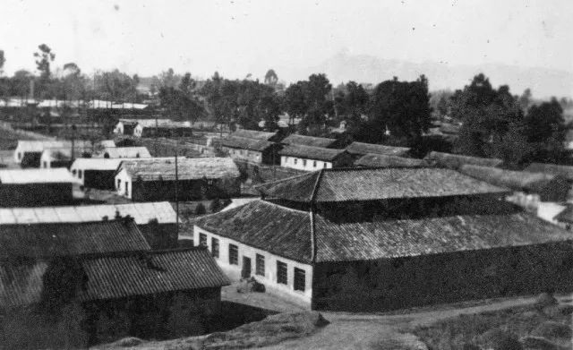 想见你钢琴图书馆,想见你王诠胜黄雨萱图书馆