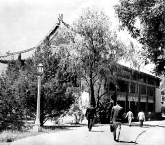 想见你钢琴图书馆,想见你王诠胜黄雨萱图书馆