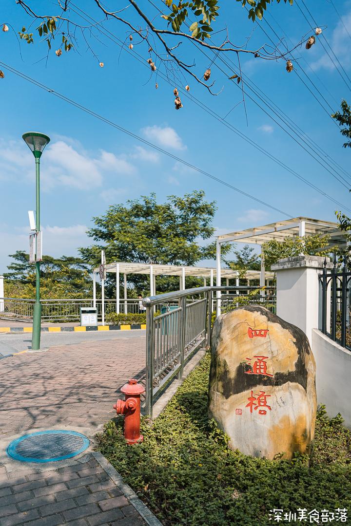 深职院，真的太太太太太好吃了