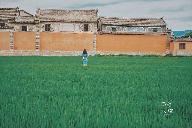 长沙自驾去大理多少钱,生活需要惊喜自驾直奔大理