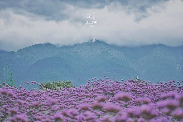 长沙自驾去大理多少钱,生活需要惊喜自驾直奔大理