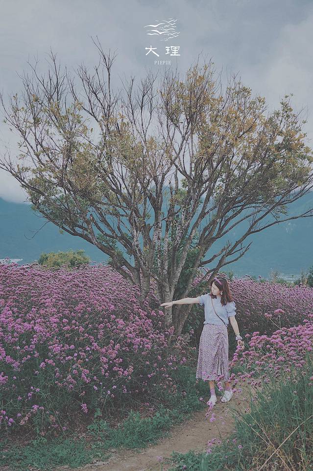 长沙自驾去大理多少钱,生活需要惊喜自驾直奔大理