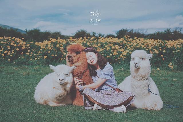 长沙自驾去大理多少钱,生活需要惊喜自驾直奔大理